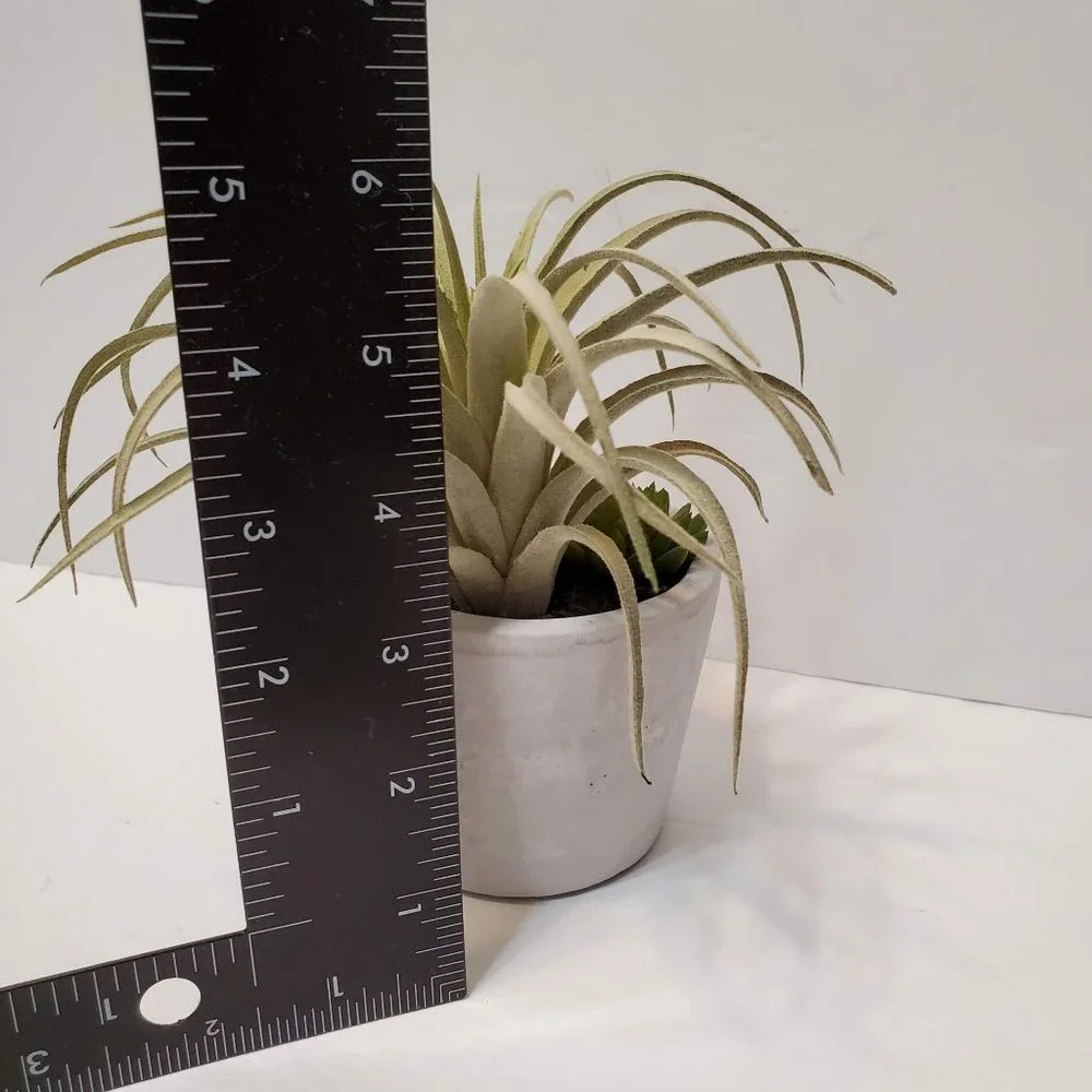 Faux Succulent Arrangement in Concrete Planter, Succulents and Air Plant